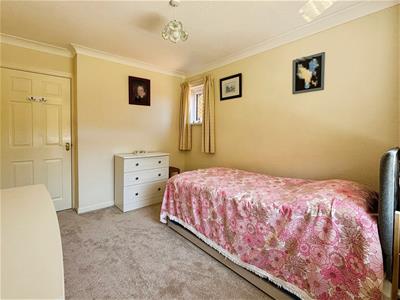 Picture 19